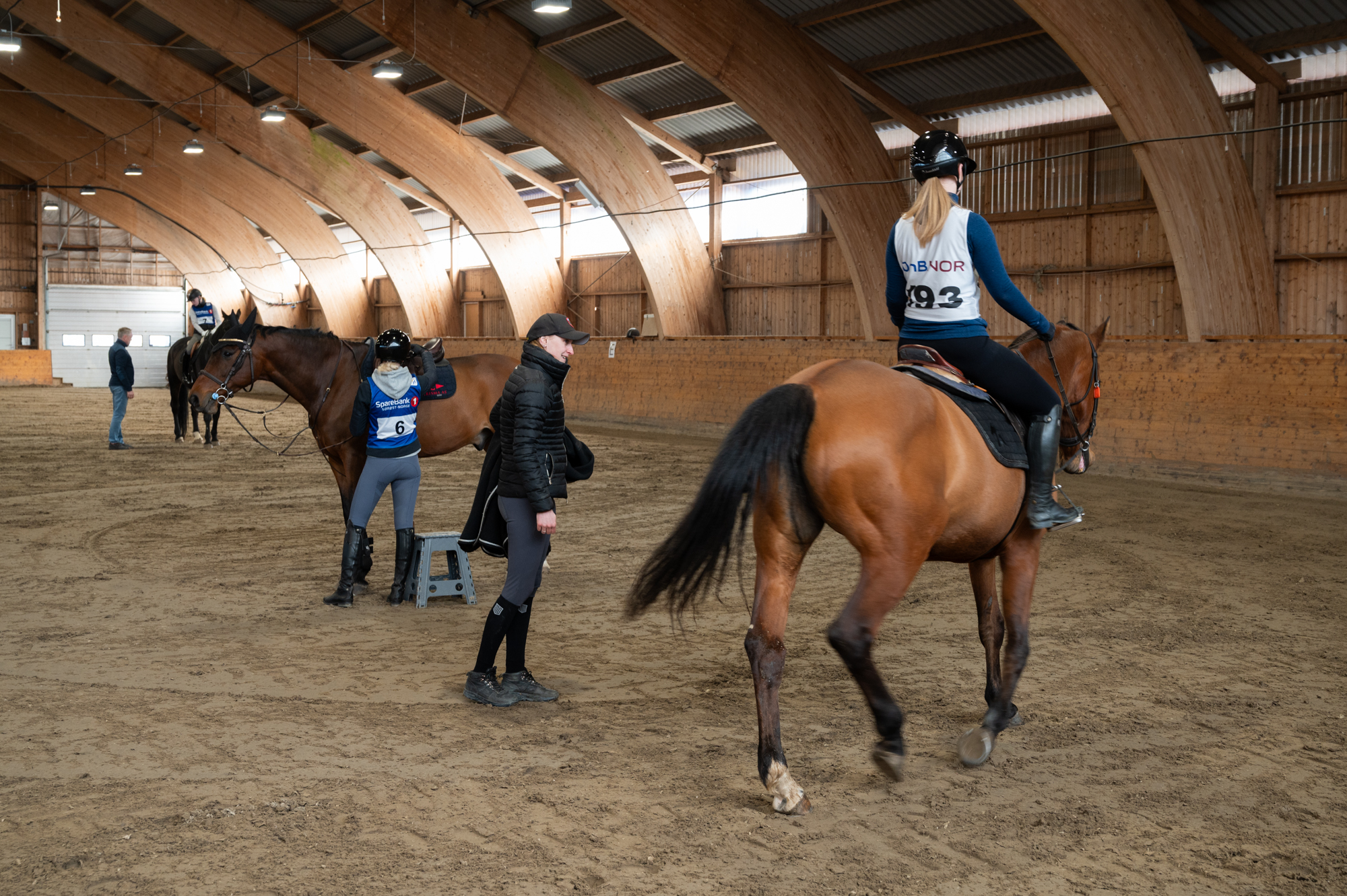 Hester og ryttere inne i ridehall