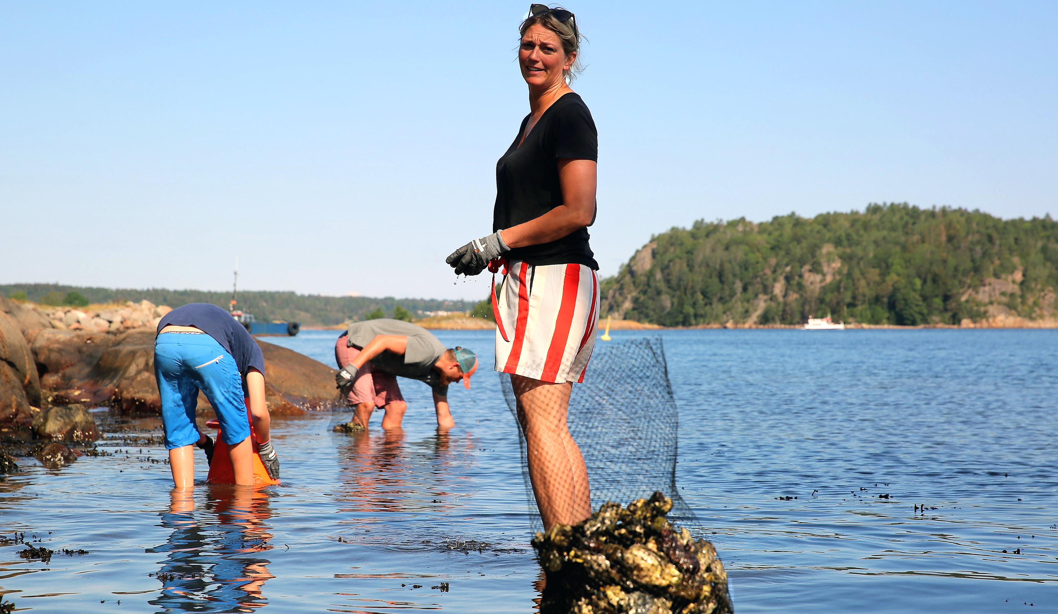 Bilde av østersplukking