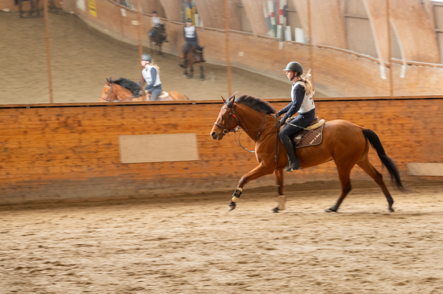Rytter på hest i ridehall