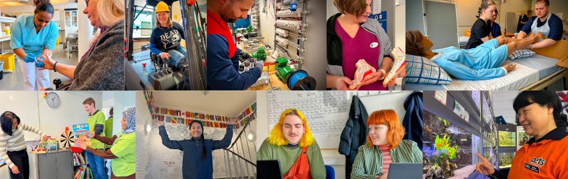 Collage av mange bilder med elever som går ulike studietilbud.