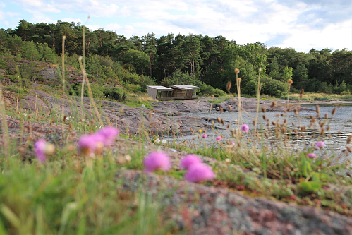 Padlehuker på Østre Bolærne