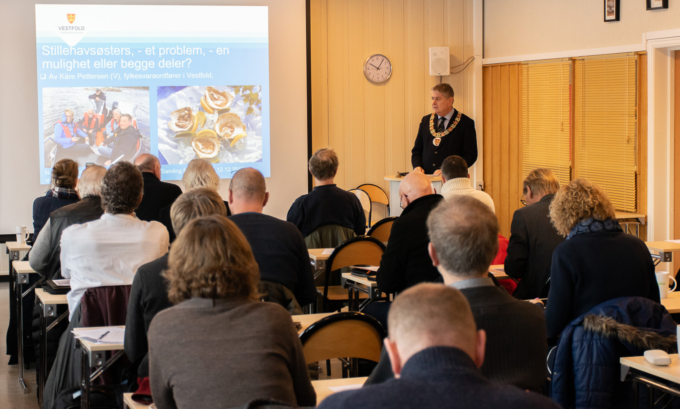 Fylkesvaraordfører står foran forsamling og snakker