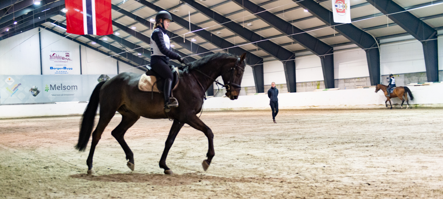 Dressurhest med rytter i ridehall