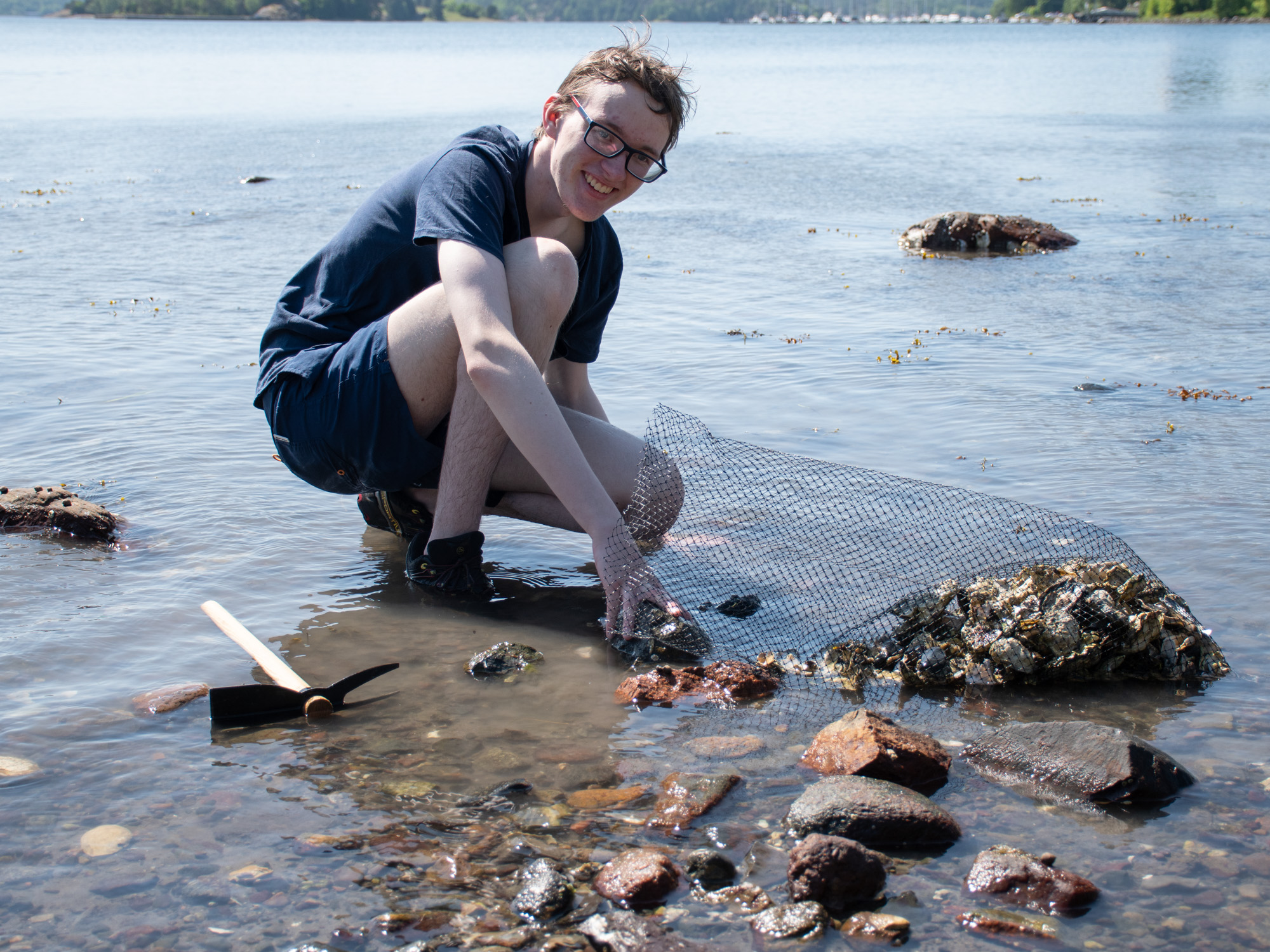 Elev sitter på huk i vannet og samler Stillehavsøsters