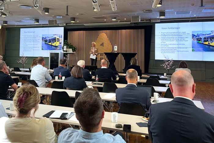 Anne Stømøy med sin presentasjon.