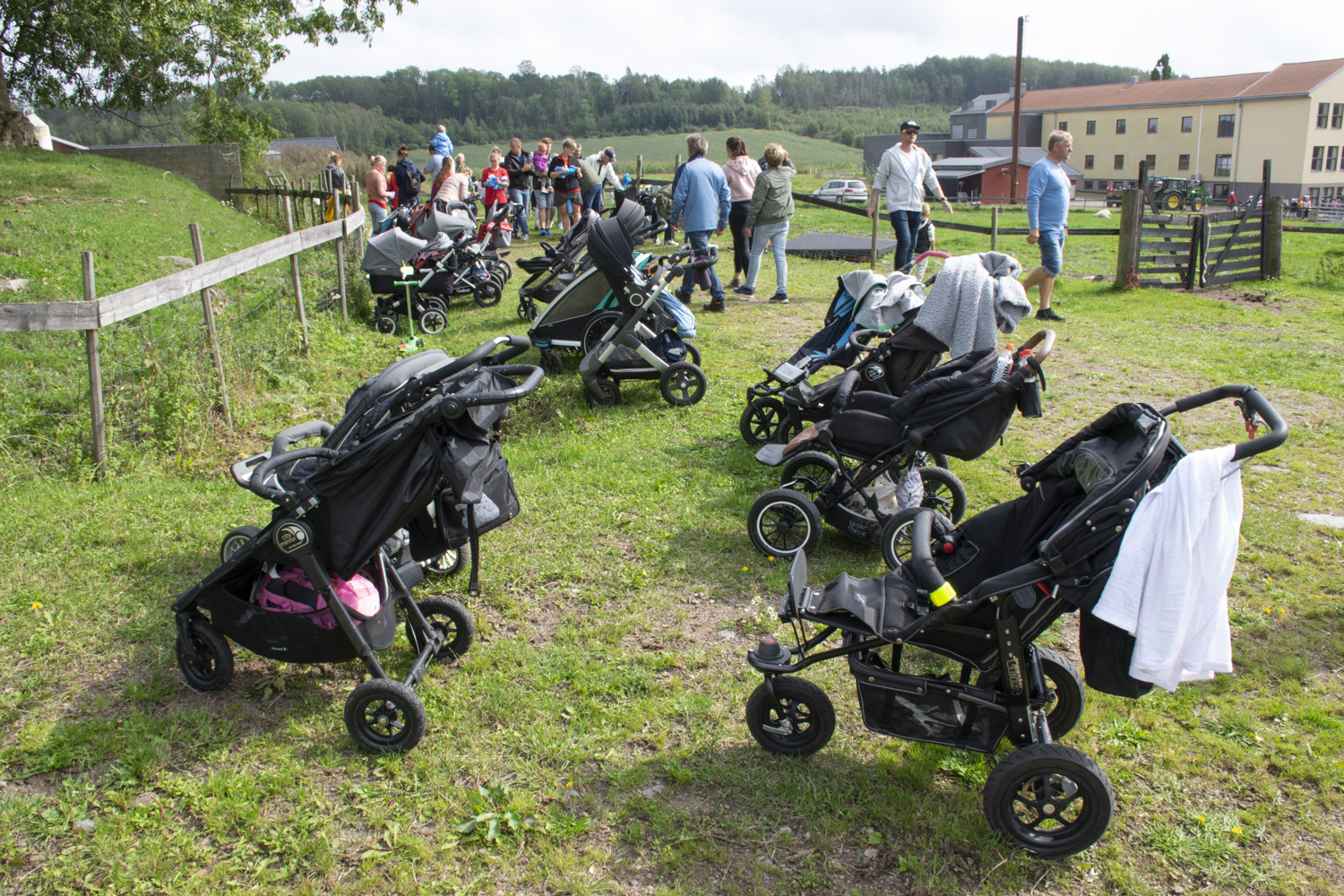 Barnevogner parkert ved inngangen til fjøsområdet