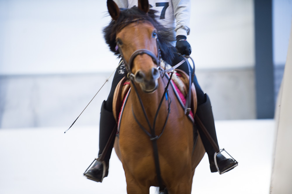 Hest med rytter. Vi ser ikke hvem rytteren er.