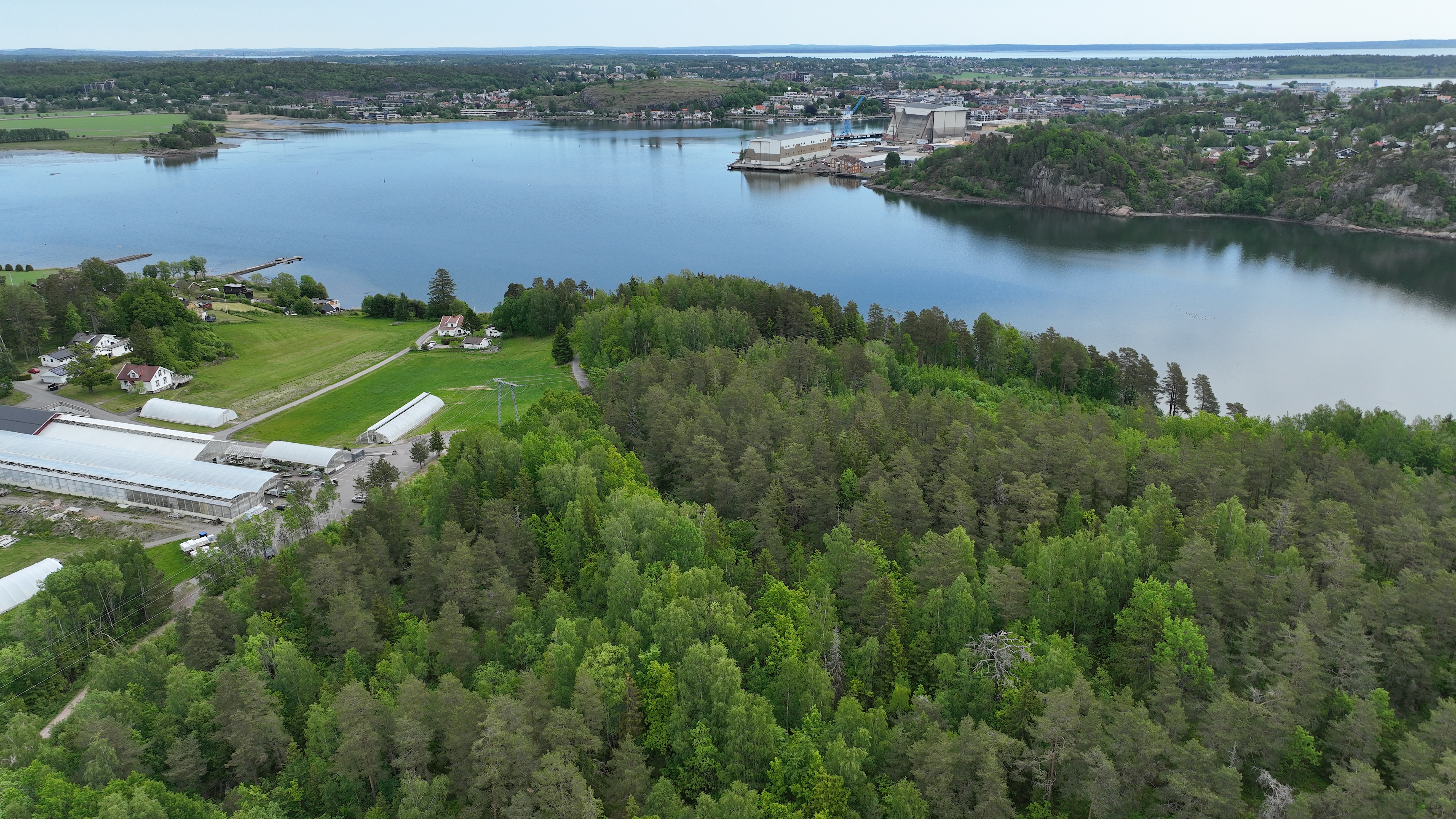 Dronebilde som viser skogområdet der anleggsveien skal etableres med Kaldnesområdet og Vestfjordem. bakgrunnen.