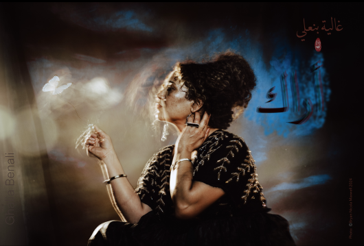 Er du opptatt av Gaza-konflikten, krigen i Ukraina eller hva som skaper norske terrorister? Sjekk i så fall ut Vestfold-bibliotekenes høstprogram.