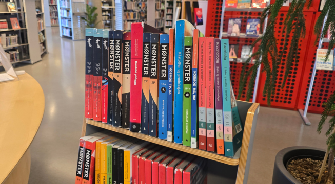 Bøker i biblioteket.