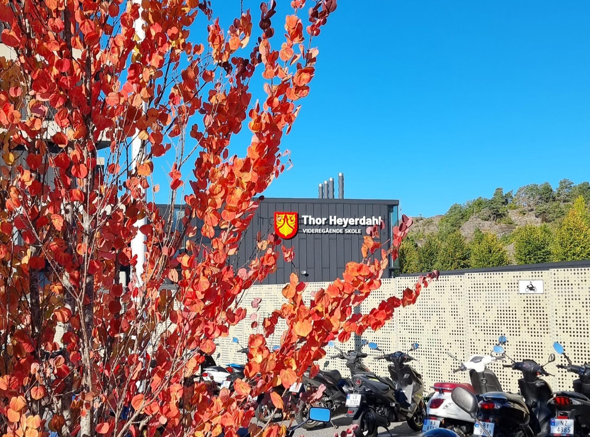 Skolefasade bak høstløv