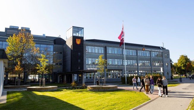 Skolens fasade, flagget er heist til topps på flaggstangen, blå himmel og grønn plen.