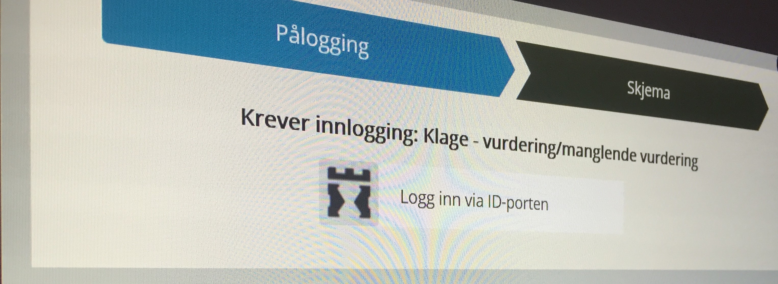 Skjermdump av Skjema slik det ser ut på pc-skjermen