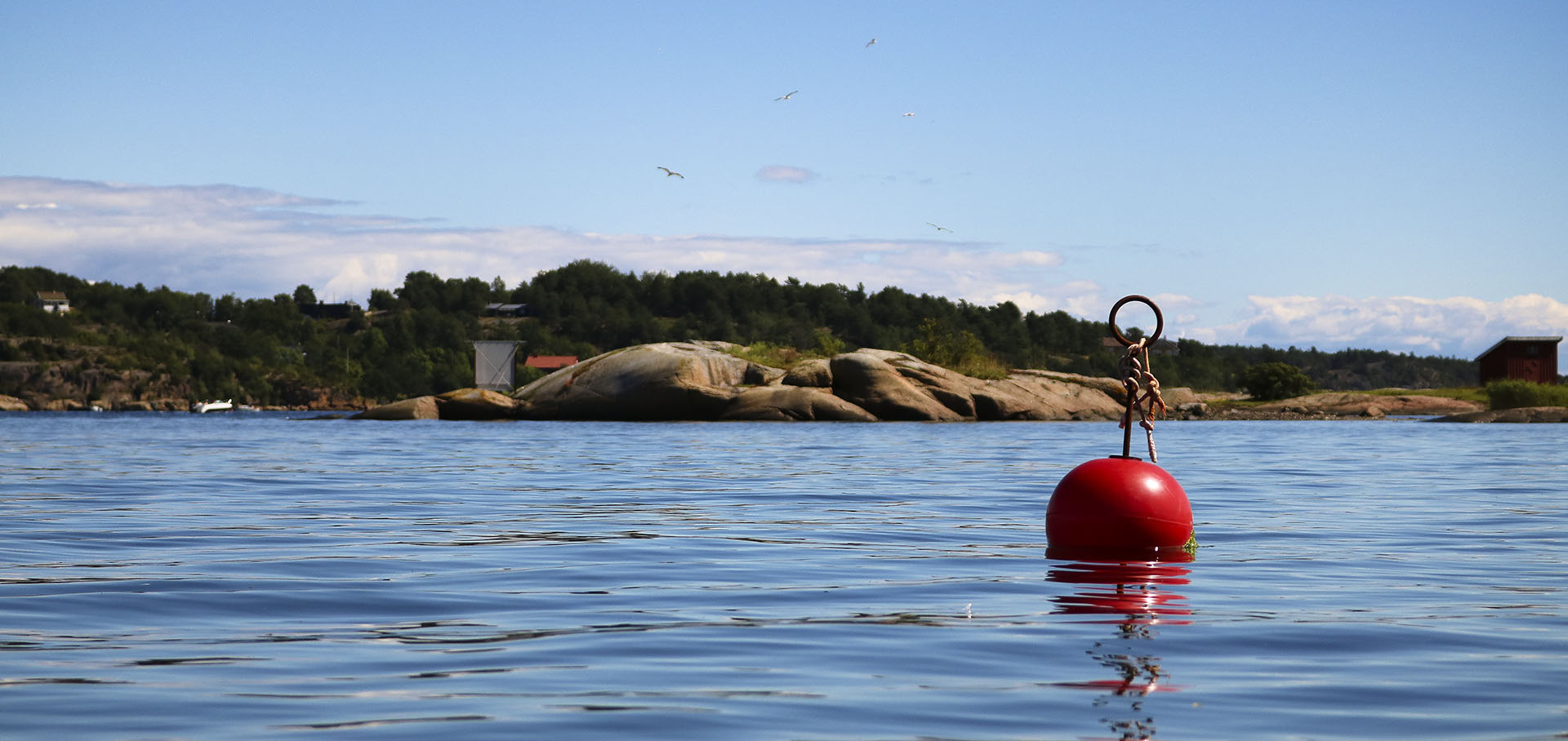 Foto av en bøye i vannet foran en øy på Tjøme