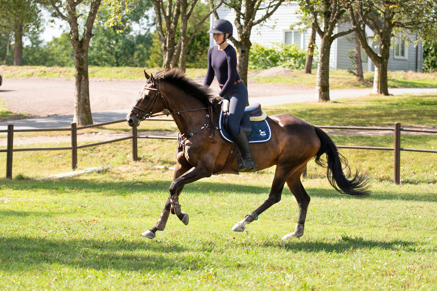 Hest med rytter i farta, på gressbanen