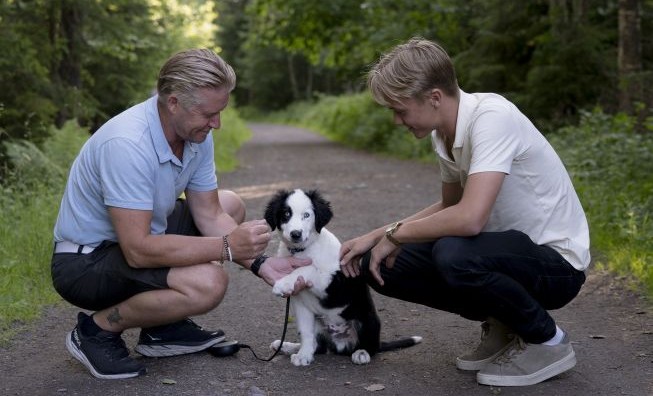 Far og sønn på tur i skogen med valp