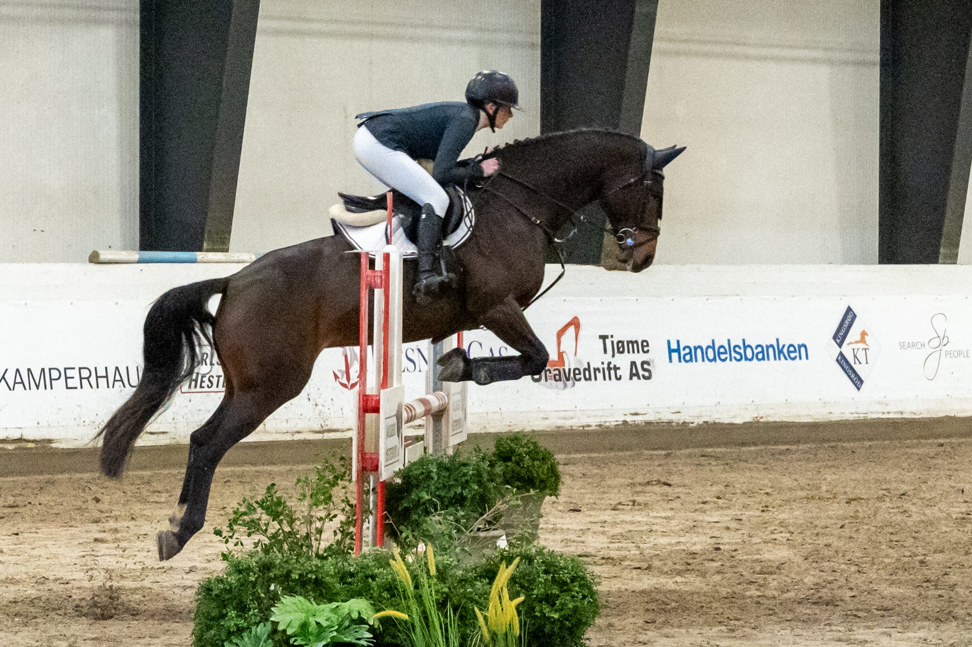 Rytter på hest kopper over hinder